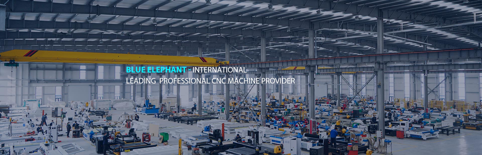 About elephant laser